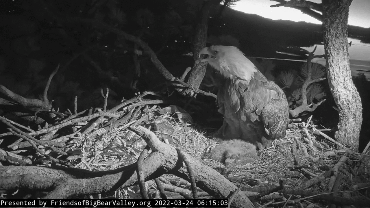 Webp.net-gifmaker (1)