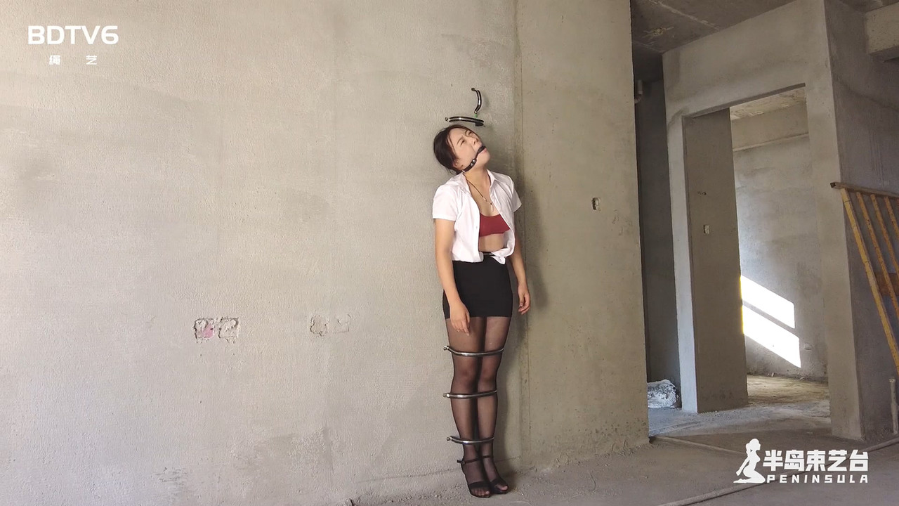 半岛束艺 装修惊魂 奎因.mp4_20231202_135848.877