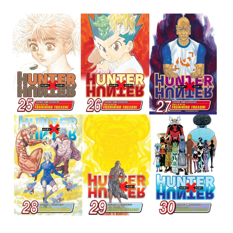 Hunter X Hunter Manga Volume 25
