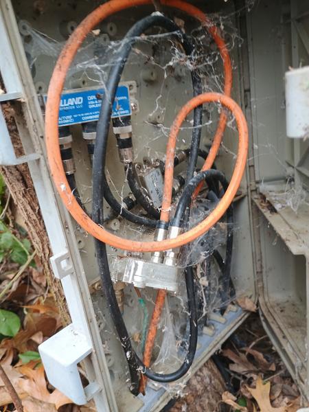 IMG 20251225 100600681