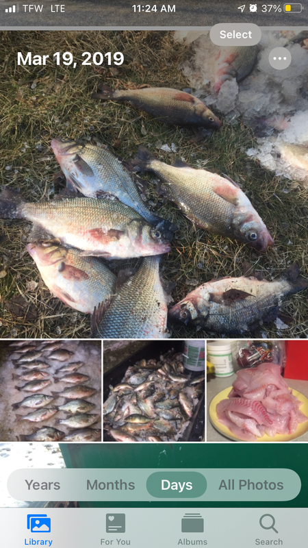 97D0DB6F-B0B5-4AA5-A3F2-3A54D4380690