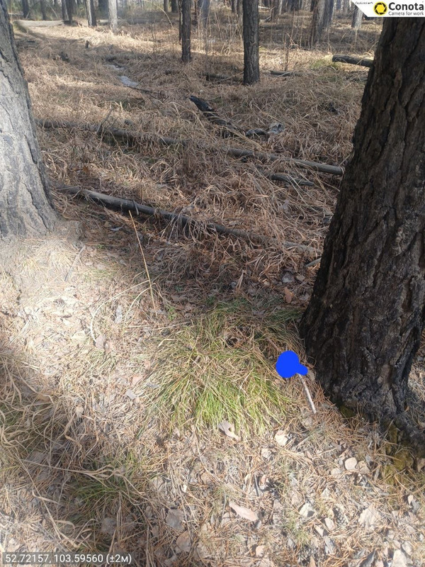 photo 2026 04 06 12 34 13