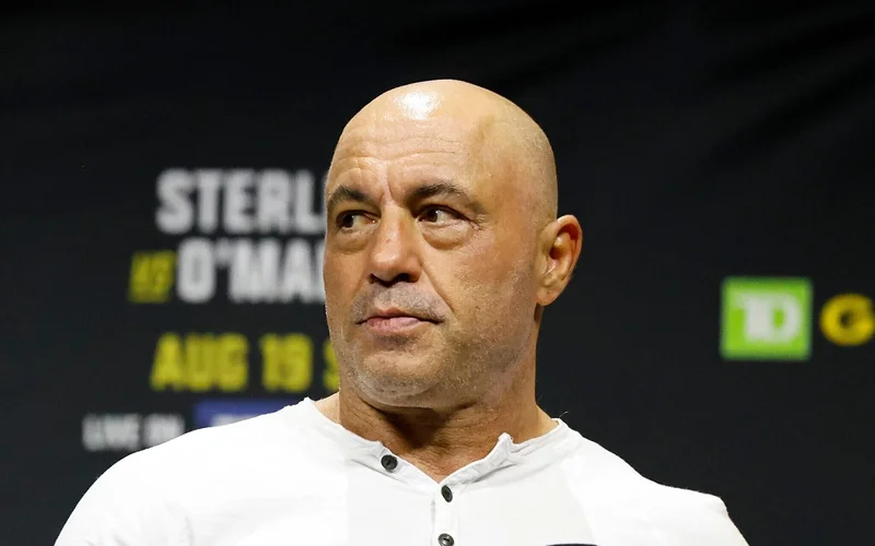 Джо Роугън: Мисля, че UFC може скоро да премине към Netflix