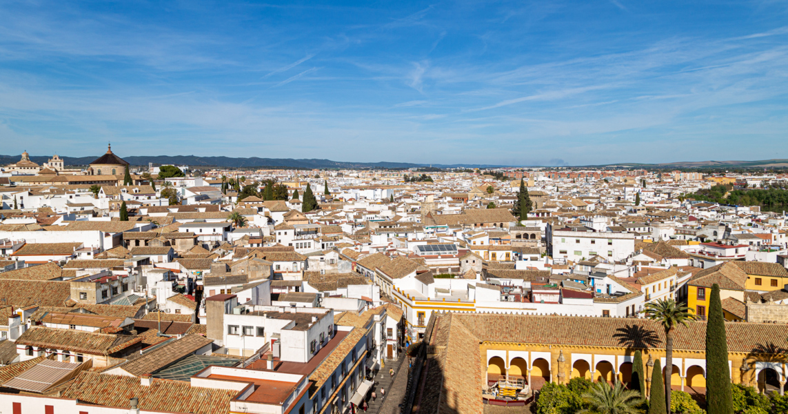 CORDOBA + MEDINA AZAHARA - Blogs de España - 2º DIA MARTES 10 DE MARZO (24)