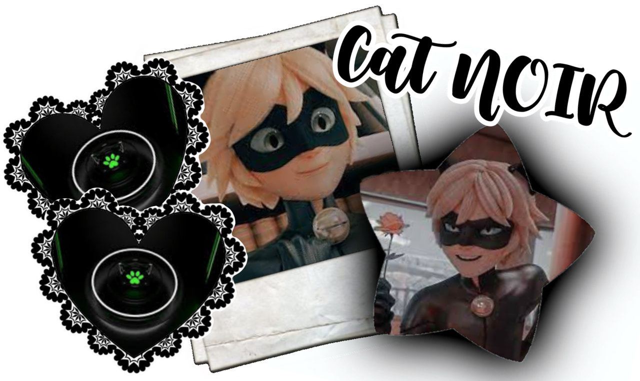cat noir | creds