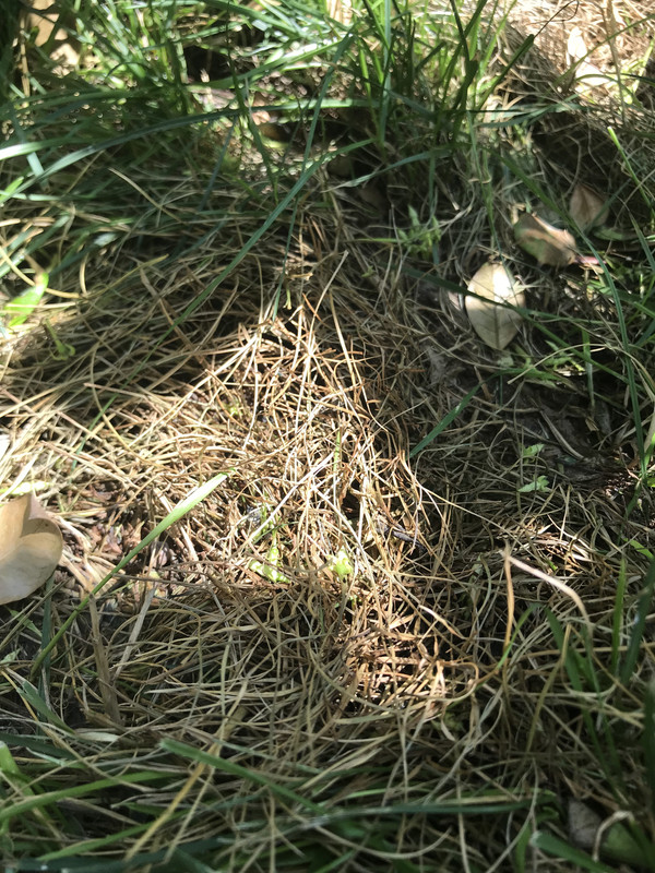 82BD7805-64AB-4264-BF76-CBC2B4EB7C1F