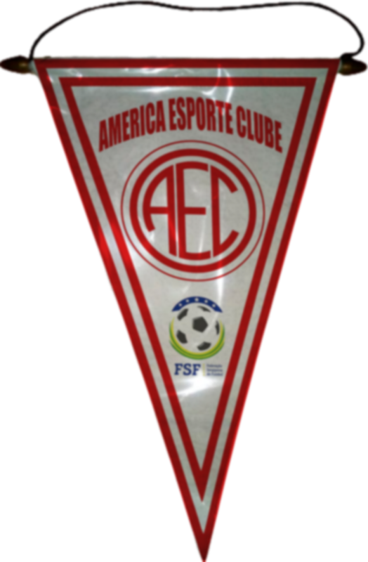 AMÉRICA ESPORTE CLUBE DE PEDRINHAS