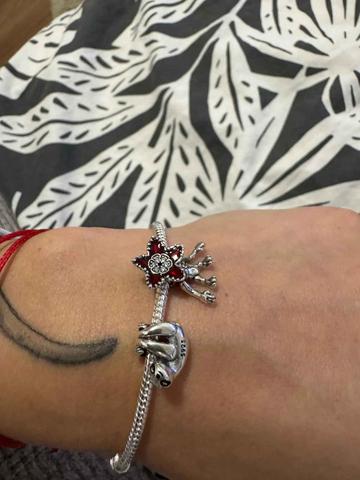 Customer review photo 31