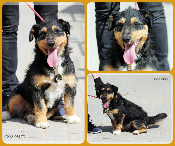 BeFunky-collage (19)