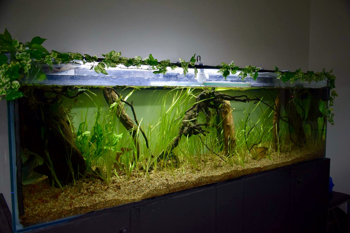 96C498BB-6192-4611-BA32-F57BEA30A41D