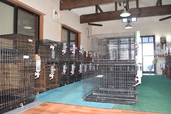 清潔に管理している犬舎