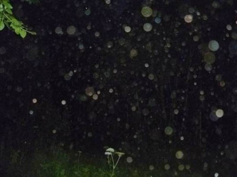 Орбы плазмоиды. Орб плазмоид. Призрак плазмоид. Призрак плазмоид. Орбы плазмоиды зеленые.