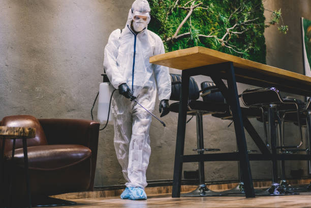 Termite Threat Vector Panel Image