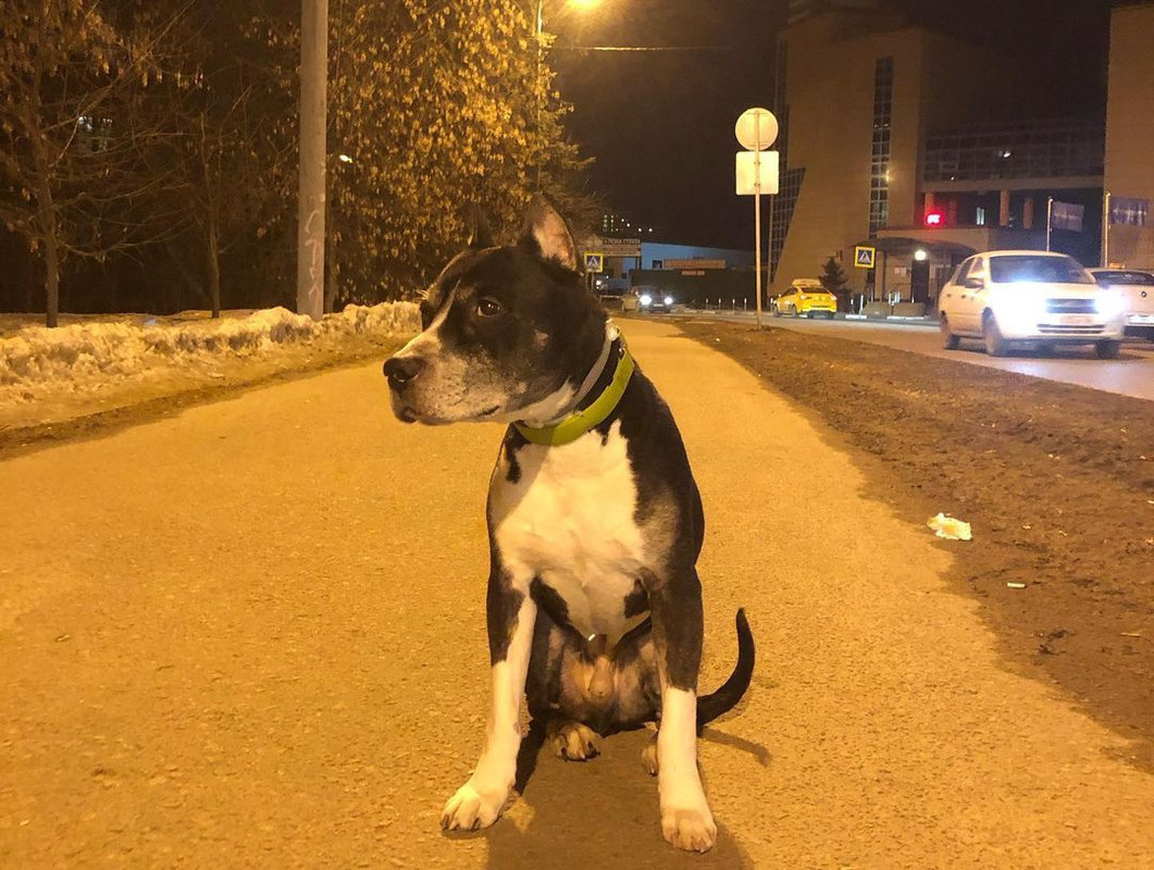 FA25DC46-F2BC-4B3C-8DD5-09964E589961