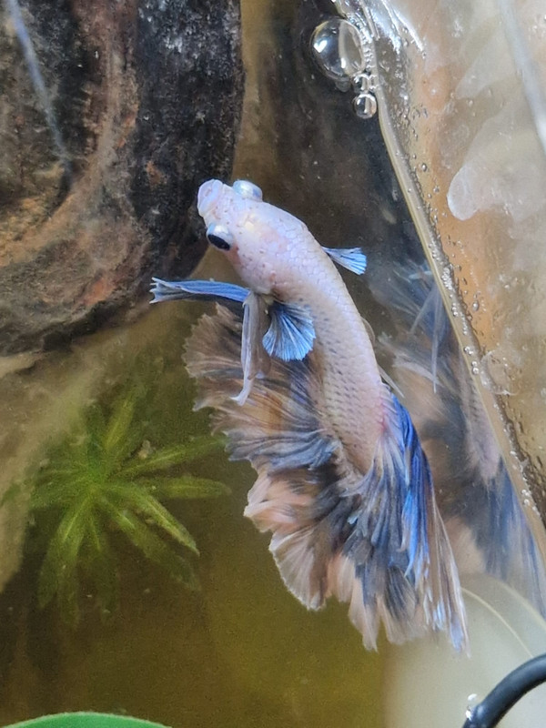 WhatsApp Image 2025-01-13 at 19.16.10