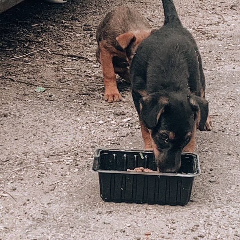 7613F369-19EF-49C2-A64A-80CA473D8B62