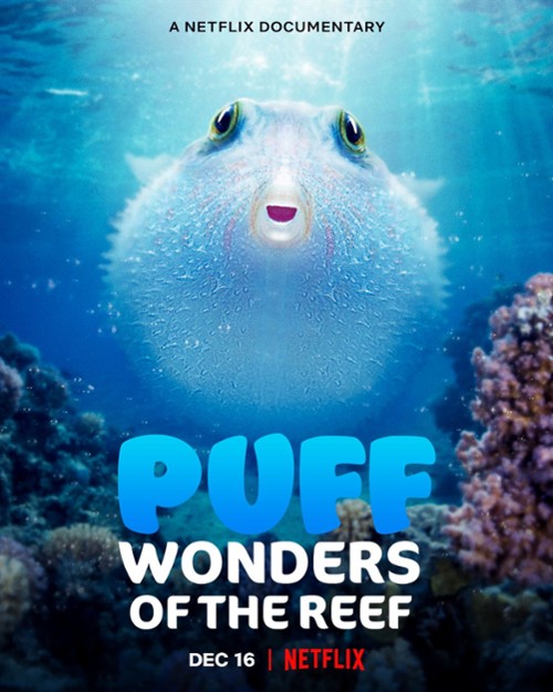 Z rozdymką przez rafę koralową / Puff Wonders of the Reef (2021) PL.1080p.NF.WEB-DL.X264-J / Polski Lektor DDP 5.1