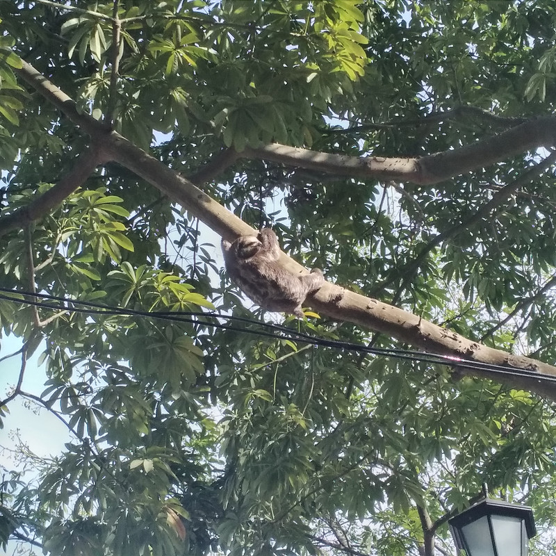 Зимовка 2026, полтора месяца в Колумбии.