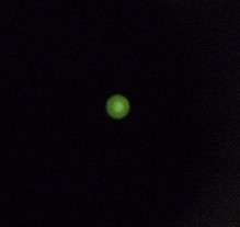 101_3786_SV 125 Access After Collimation