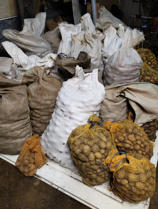 IMG_20251020_162246357