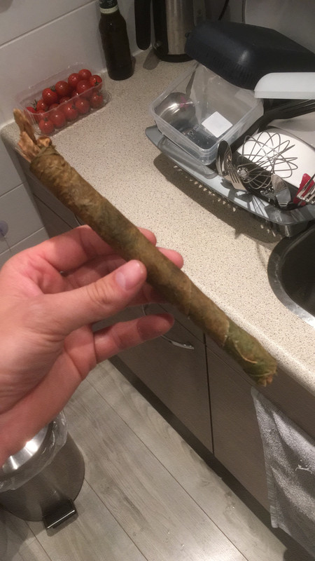 2E462182-73B6-4DD3-81C4-321F0BD01714