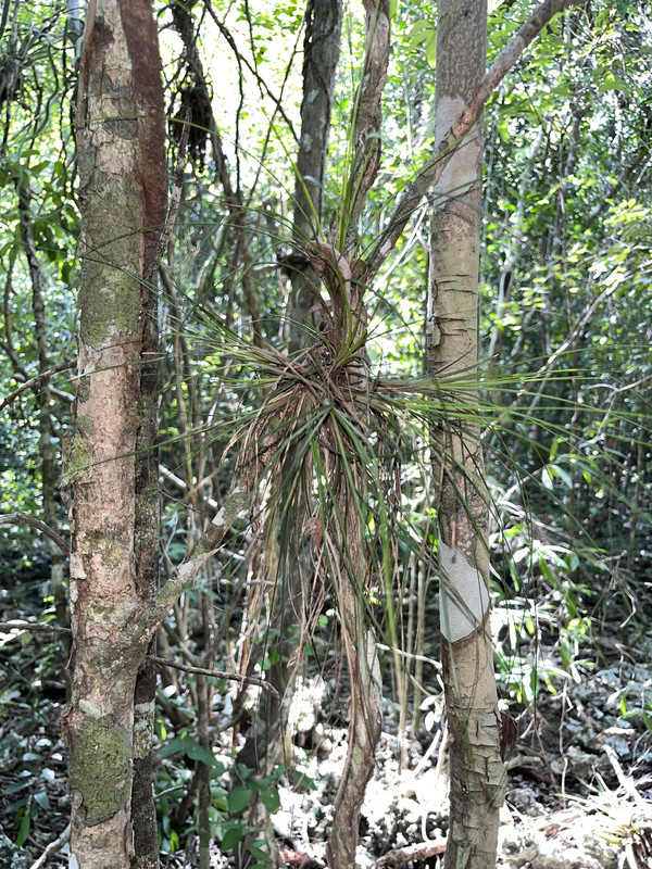 74B277FC-1DA1-4F58-98F2-BD7A07B999A4