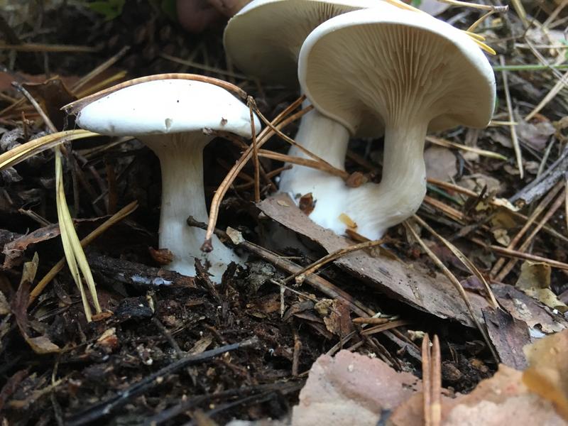 0ED3722E-7616-4619-829C-E04A3D3A3950