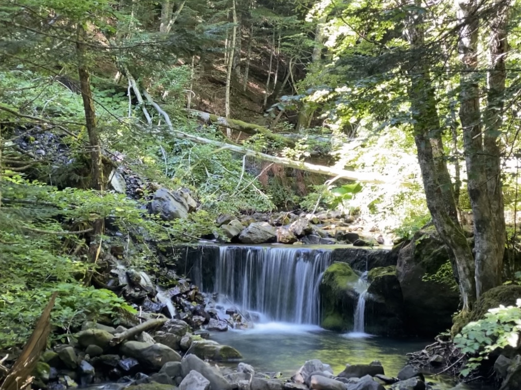 FD768645-51A3-490D-802A-557F3D251F87