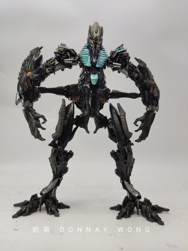 ROTF-Fallen-inhand-04