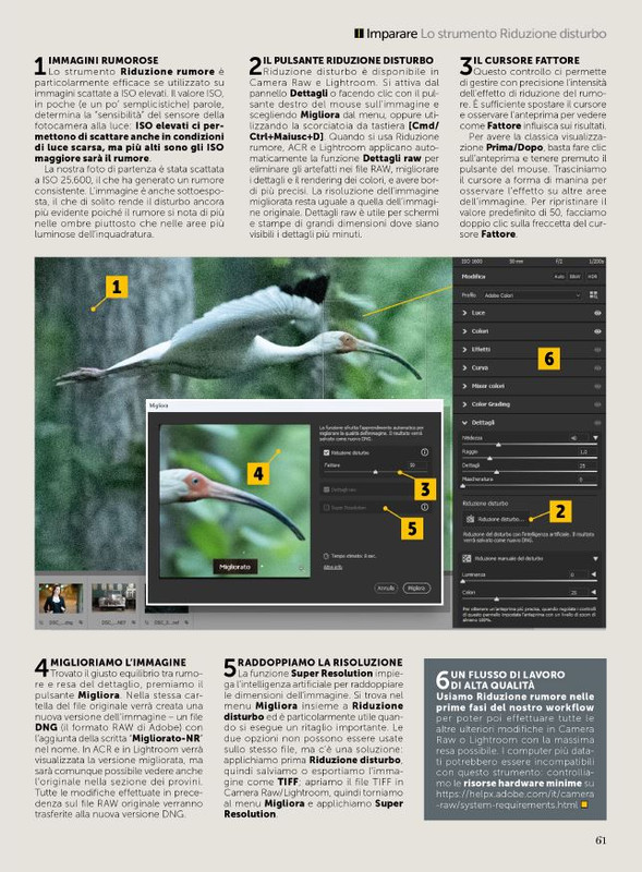 N Phot - Gen-Feb 2025 (4)