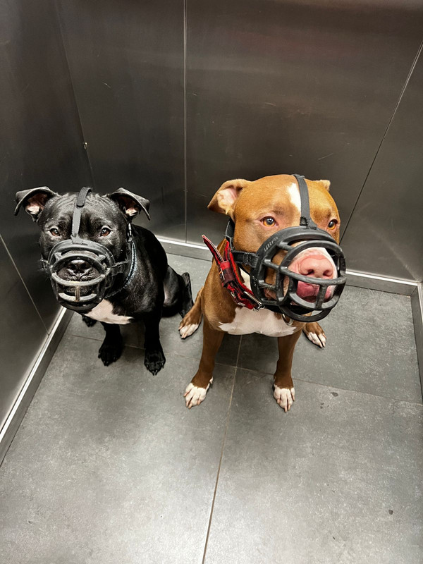 7FA72F2A-8707-4981-86F1-8268B8F06001