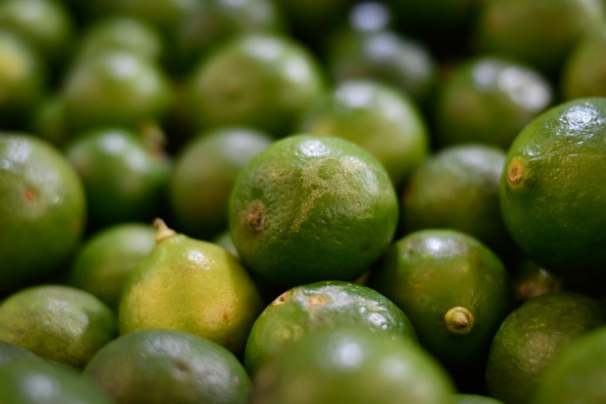 Precio del limón en Estados Unidos es de 14 pesos la pieza