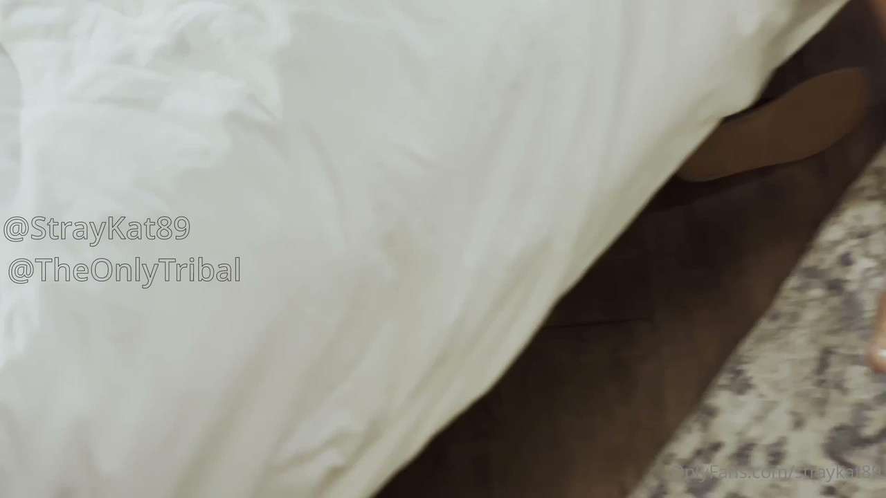 OnlyFans – StrayKat89 And Tribal My Very First BBC Experience (2025)