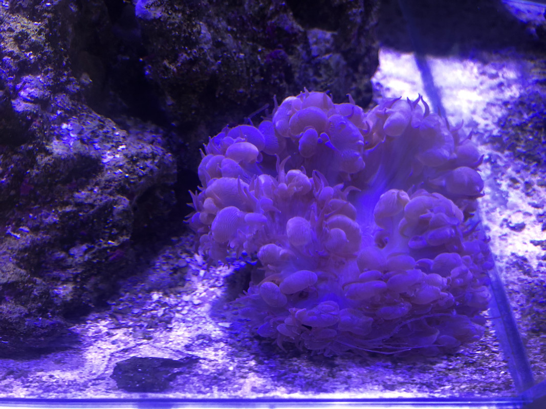 935AFE45-7DD0-4172-99FE-53654A0BA221