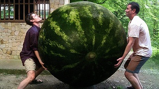 10 Двоє котять кавун