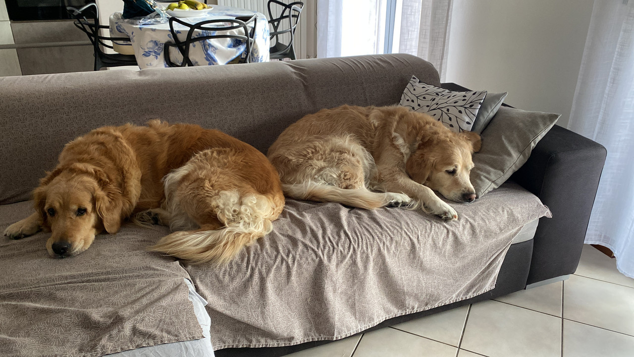 21EB2A32-83BC-414F-B905-E82F3D18D2FC