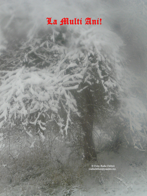 P1510426-0.0.1 (1025) - копия