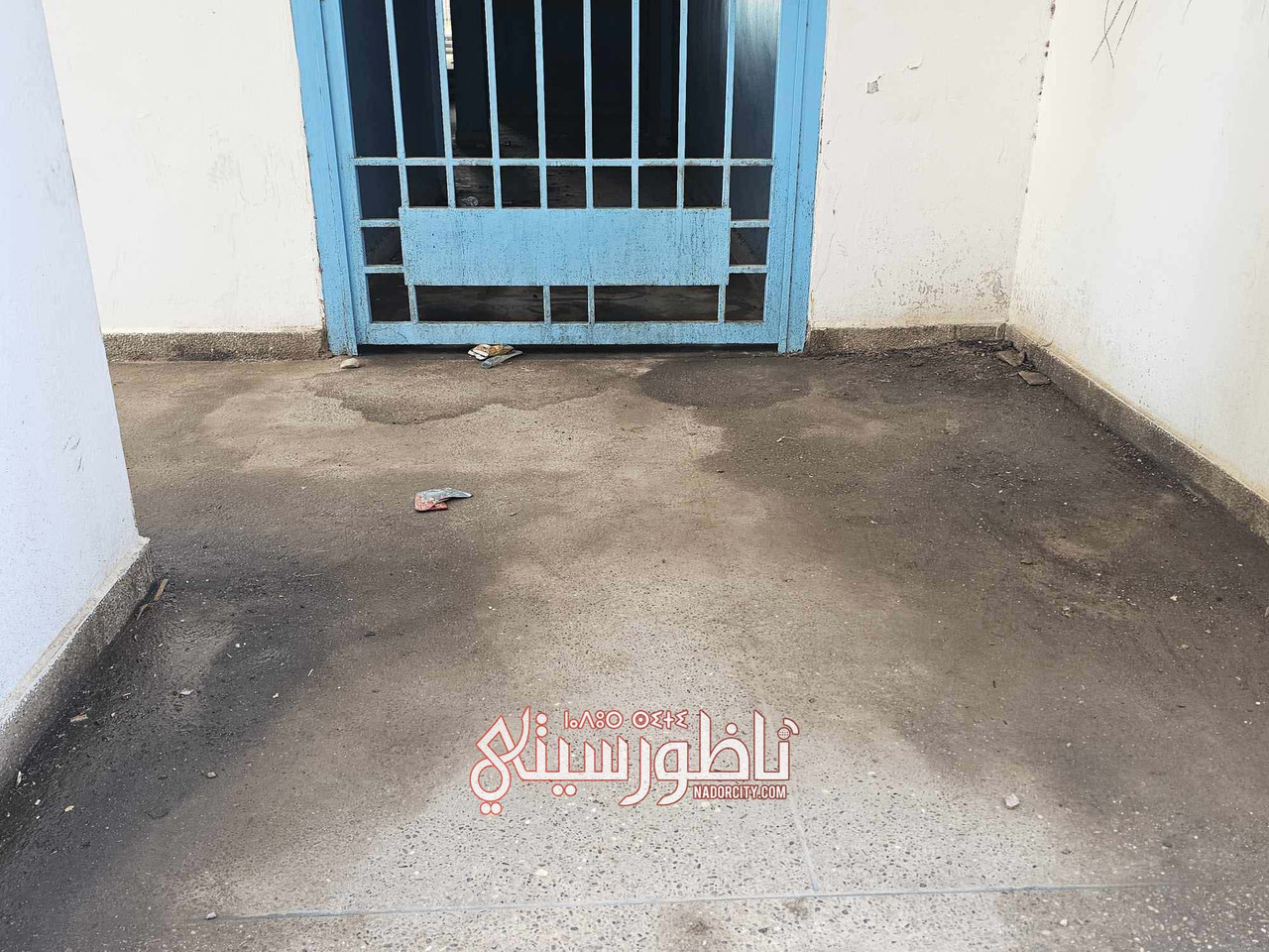 575319611-1358676449248064-5907990482183856780-n