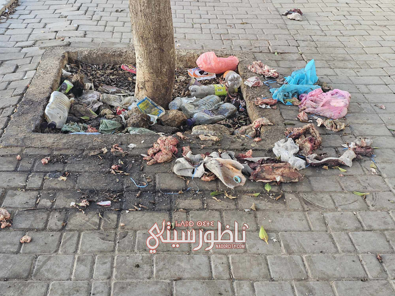 574324424-1494412518437209-6952718101240408467-n