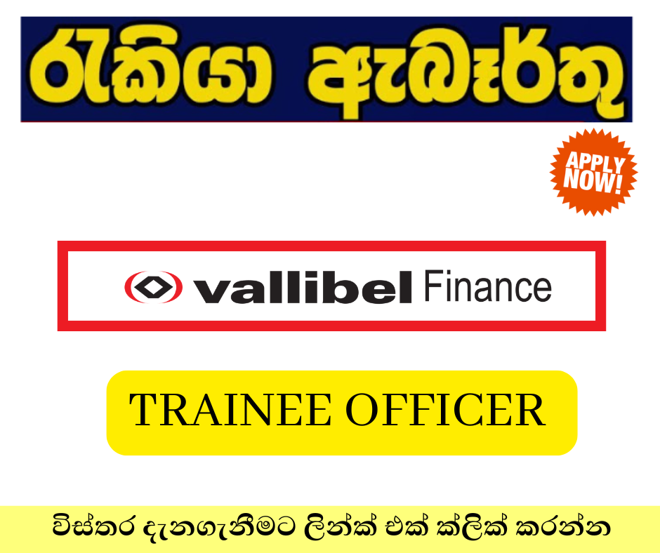 Vallibel Finance Trainee Program