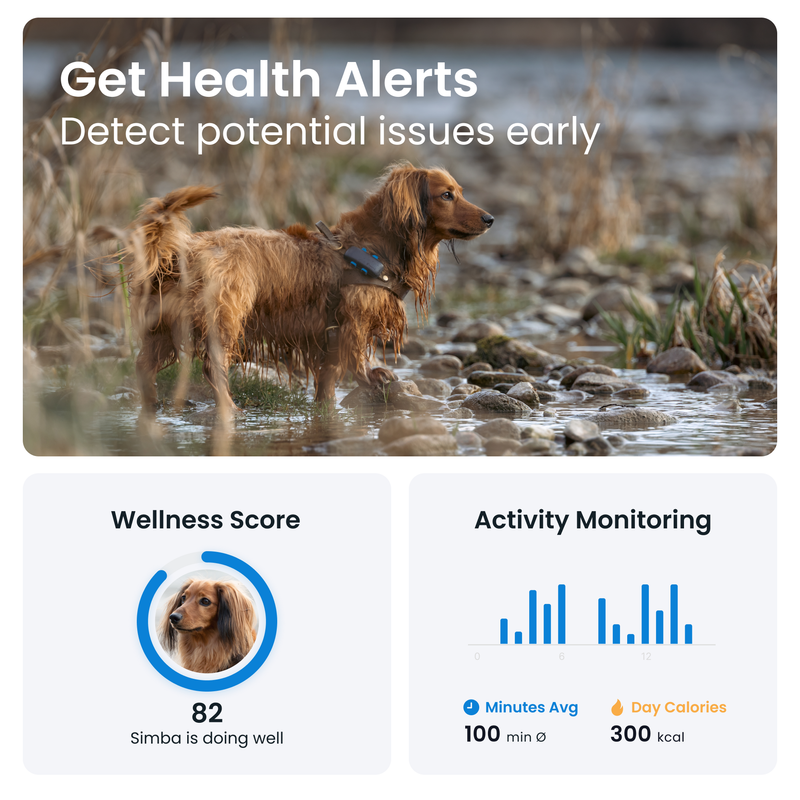 Health and activity monitoring