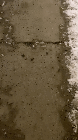 EB1749-E4-C7-EF-4176-A2-CF-9-EF82-AD0-BC33.gif