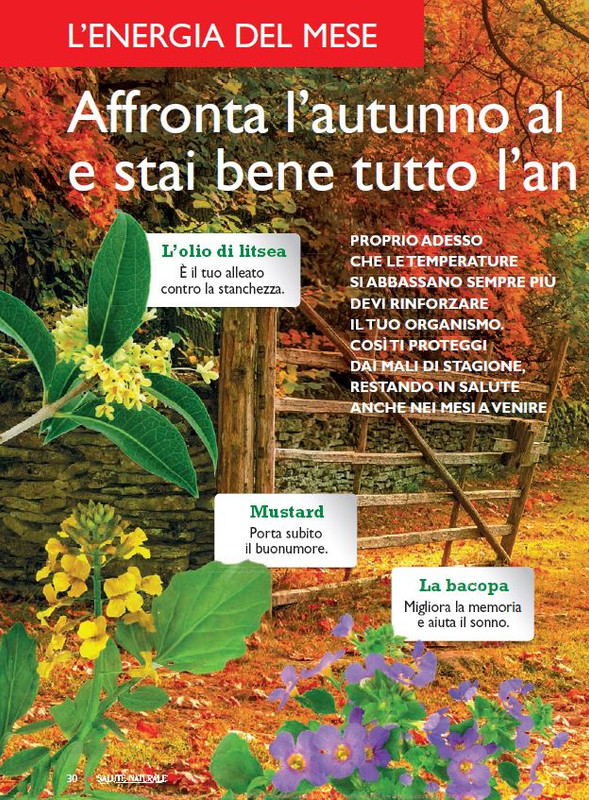 Sal Nat Ott 2021 (3)