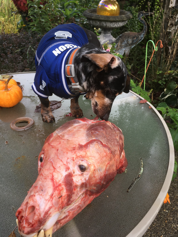 FD878AF5-ABA1-4295-986C-88679EB03D7F