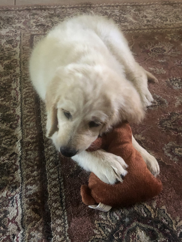 009261A1-4A16-45D5-AAAF-73C45FEE6C83