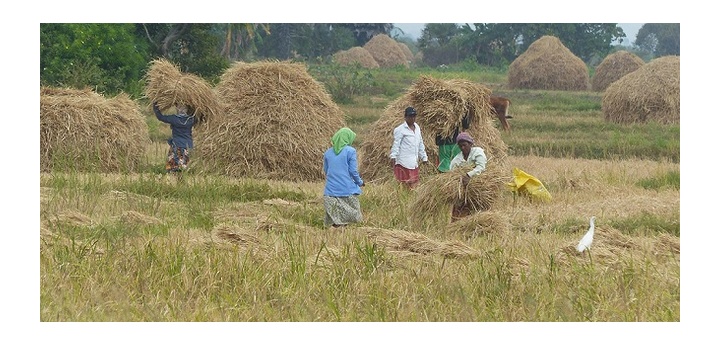 Screenshot-2020-10-13-12-30-34-329-org-m