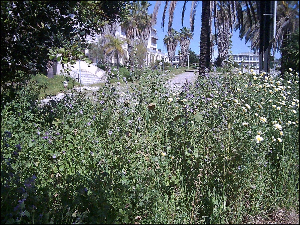 Oceanville Albufeira 290326 (1)