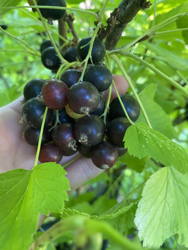 F15AA3AB-163C-4309-B899-A0954D3C8726