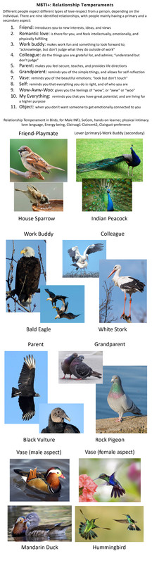 relationship-birds1