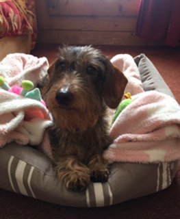 [Image: 37-F051-AB-67-FD-4-DE7-B8-DD-3-A99-A7-C8-A906.jpg]